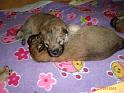 2009-06-23-D-Wurf -169